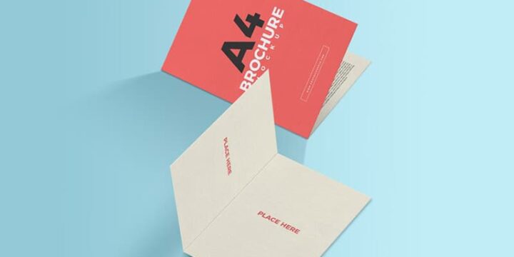 Casos de éxito: proyectos que hemos desarrollado junto a nuestros clientes